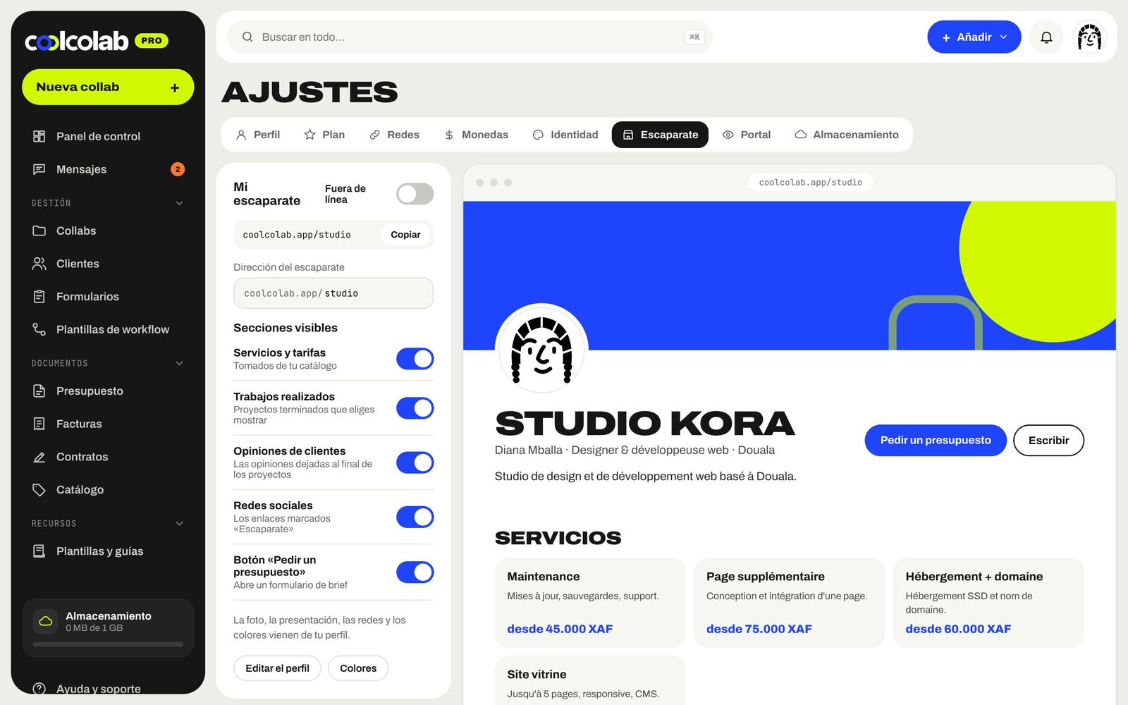 Ajustes del escaparate público
